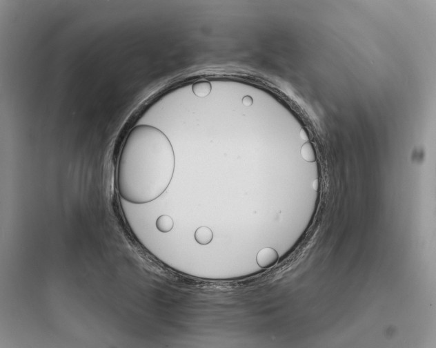 X0000097671221200803211935