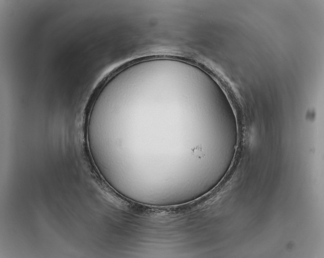 X0000097671222200803211935