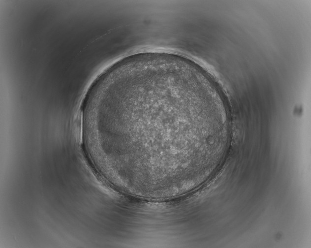 X0000097671223200803211935