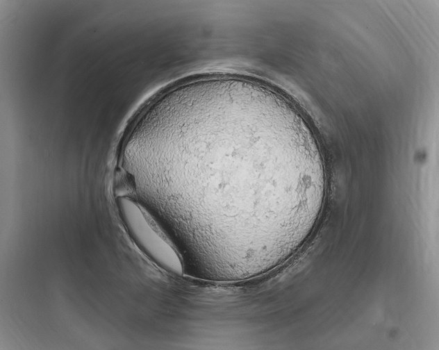 X0000097671224200803211935