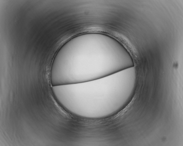 X0000097671225200803211935