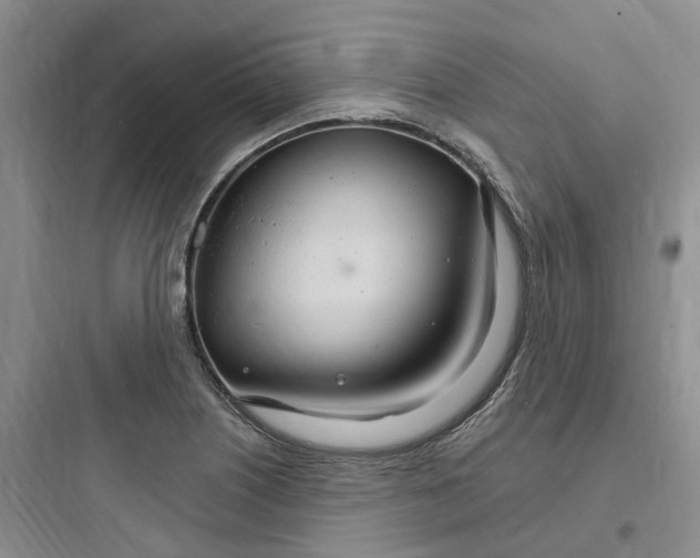 X0000097671226200803211935