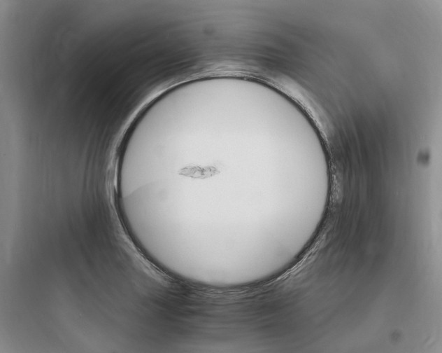 X0000097671227200803211935