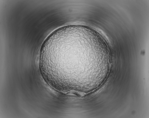 X0000097671228200803211935