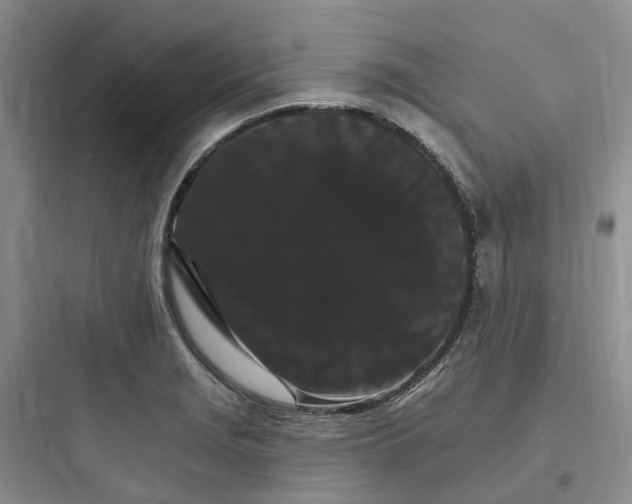 X0000097671229200803211935