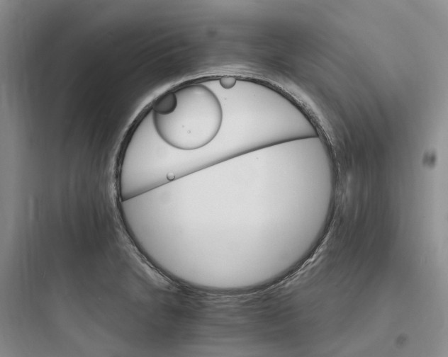 X0000097671230200803211935