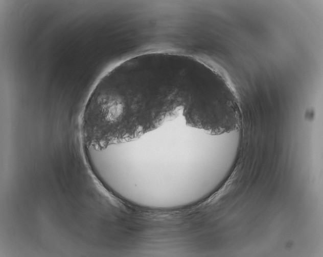 X0000097671231200803211935