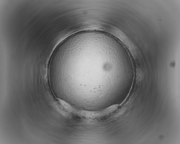 X0000097671234200803211935