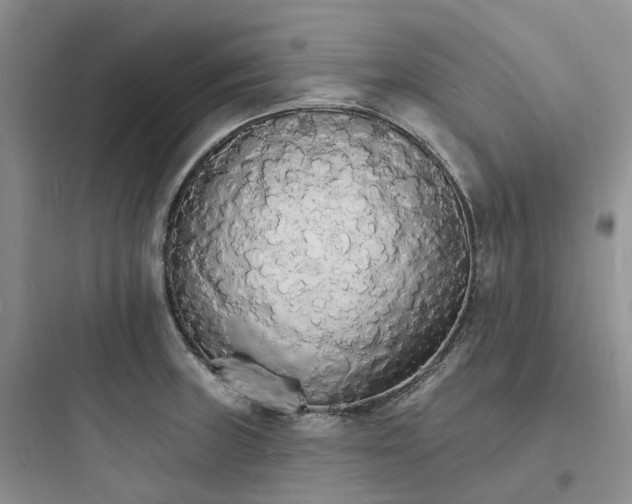 X0000097671235200803211935