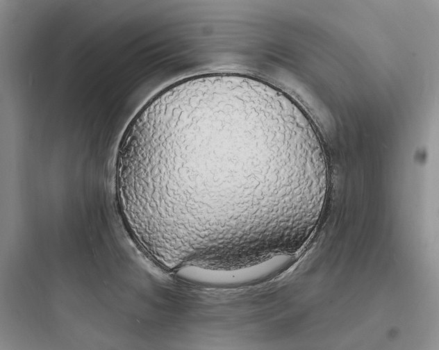 X0000097671236200803211935