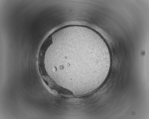 X0000097671237200803211935