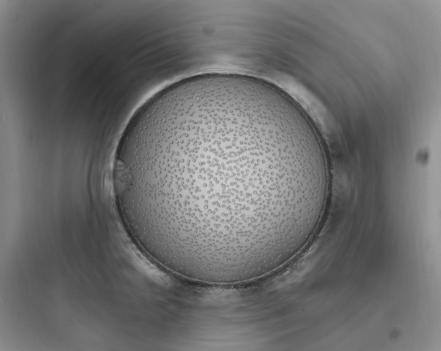 X0000097671238200803211935