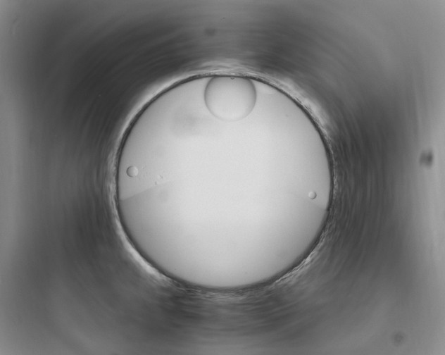 X0000097671239200803211935