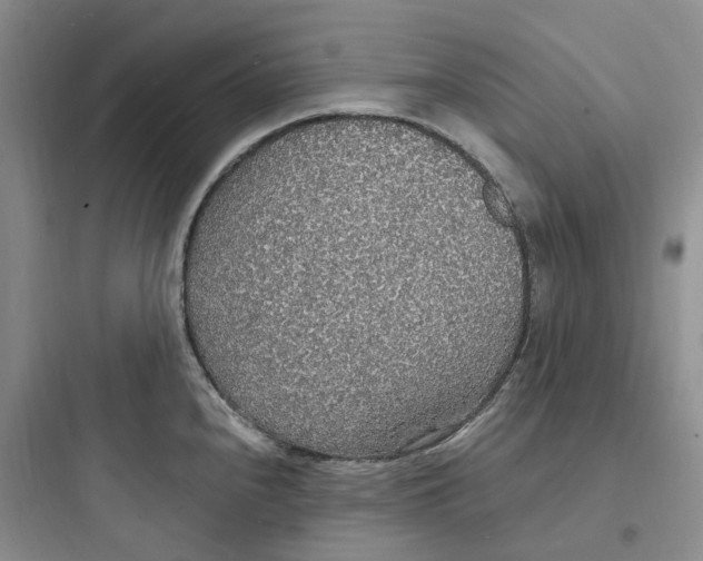 X0000097671240200803211935