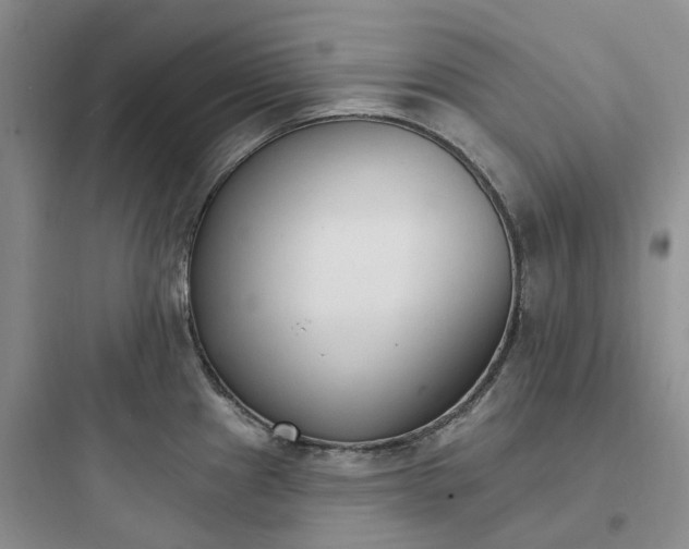 X0000097671241200803211935