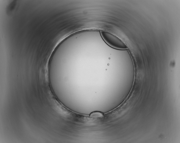 X0000097671242200803211935