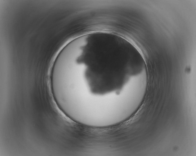 X0000097671243200803211935