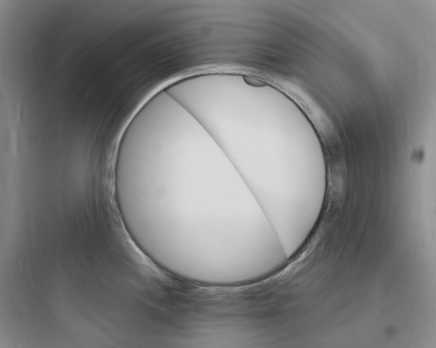 X0000097671244200803211935