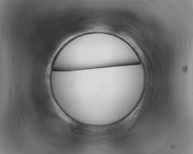 X0000097671246200803211935