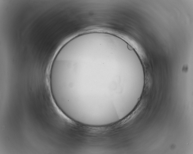 X0000097671247200803211935