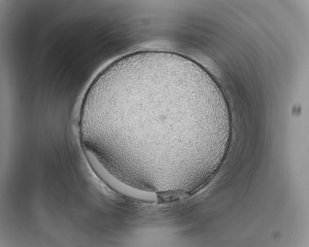 X0000097671248200803211935