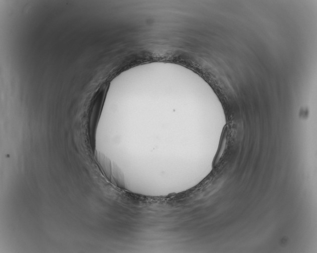 X0000097671249200803211934