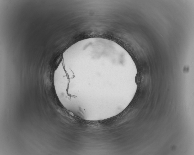 X0000097671250200803211934