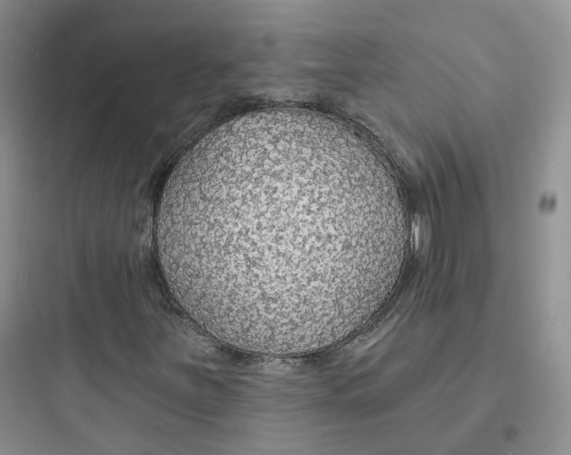 X0000097671251200803211934