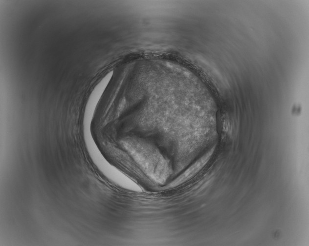 X0000097671252200803211934