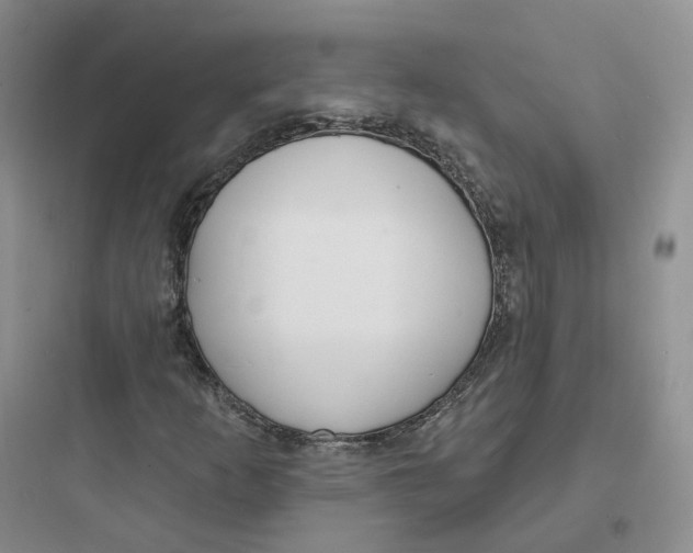 X0000097671253200803211934