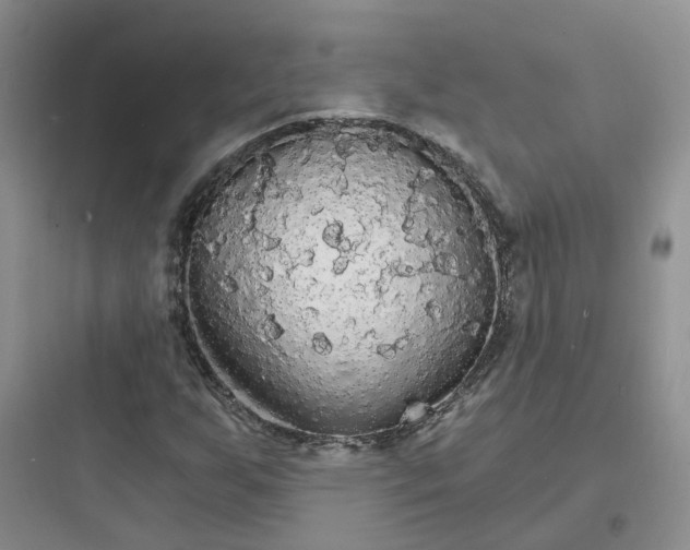 X0000097671255200803211934