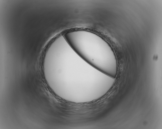 X0000097671256200803211934