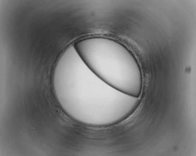 X0000097671257200803211934