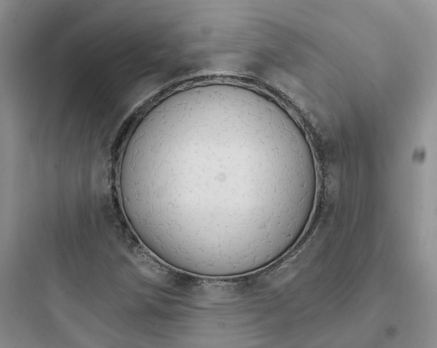 X0000097671258200803211934