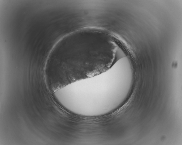 X0000097671259200803211934