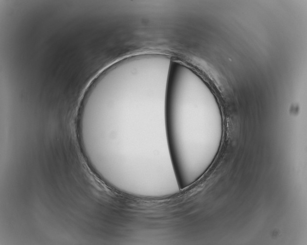 X0000097671260200803211934