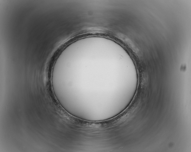 X0000097671261200803211934