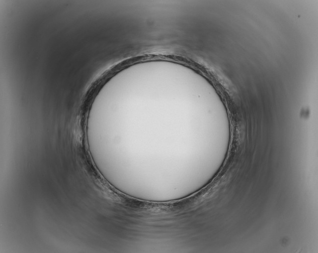 X0000097671262200803211934