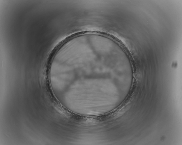 X0000097671263200803211934