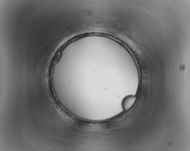 X0000097671264200803211934