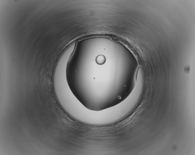 X0000097671265200803211934