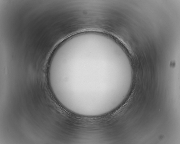 X0000097671266200803211934