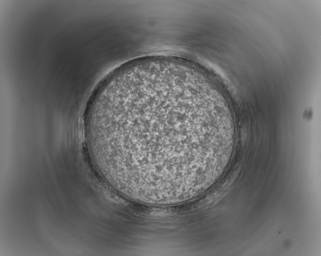 X0000097671267200803211934