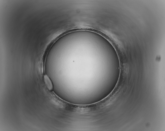 X0000097671269200803211934