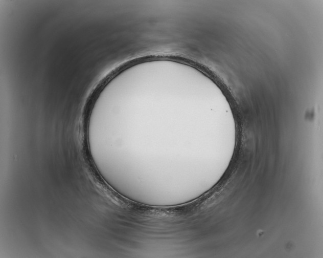 X0000097671270200803211934