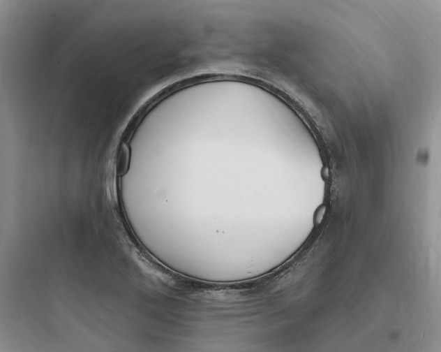 X0000097671272200803211934