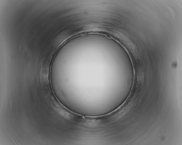 X0000097671273200803211934