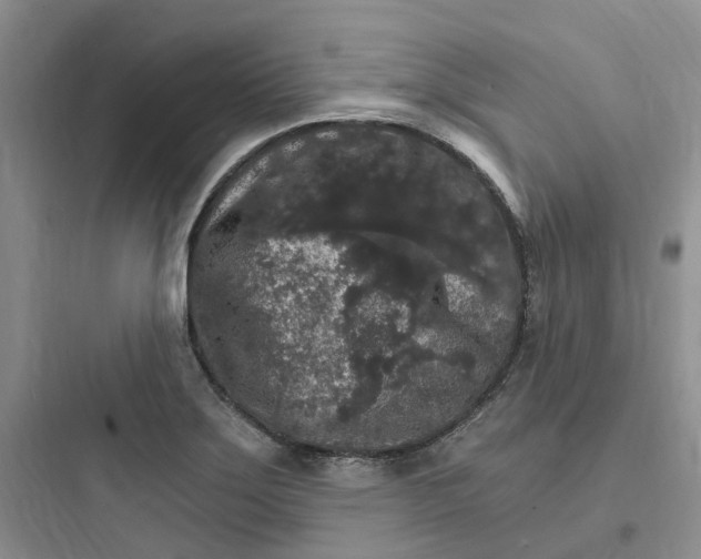 X0000097671275200803211934