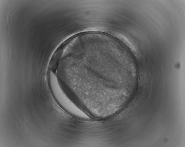 X0000097671276200803211934