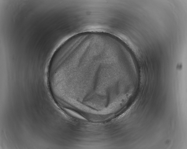 X0000097671277200803211934